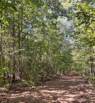 Plus de détails pour 197 Meadow Green Ln, Woodruff, SC - Terrain à vendre
