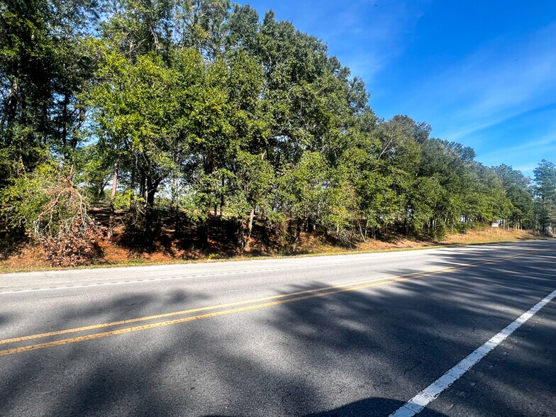 0 Highway 198, Lucedale, MS à vendre - Photo du bâtiment - Image 3 de 31