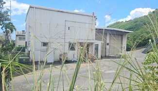 Plus de détails pour 99-1076 Iwaena St, Aiea, HI - Industriel à vendre