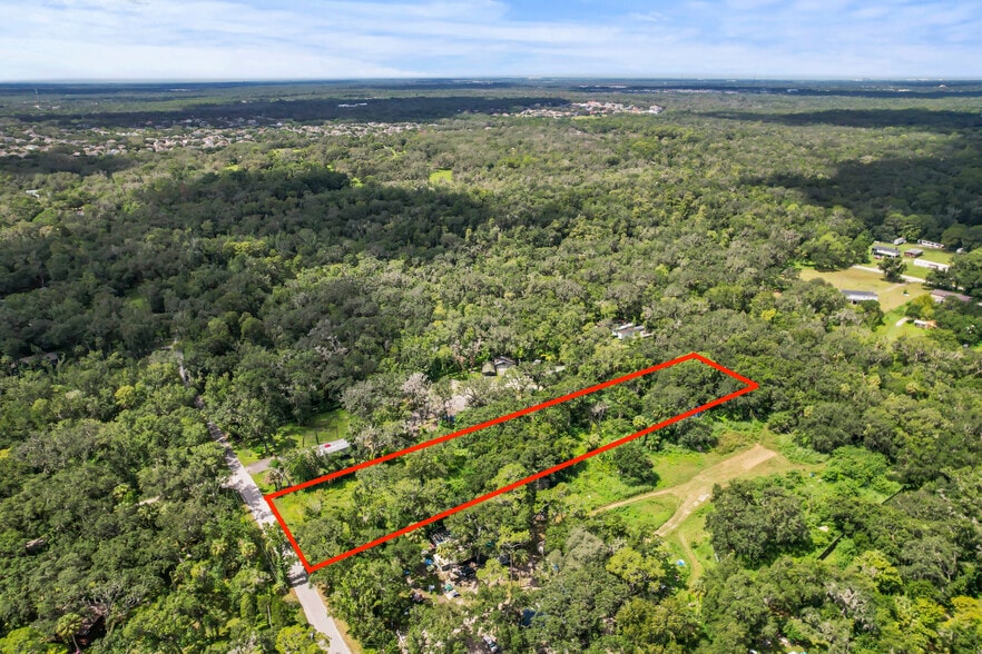 4420 River Dr., Valrico, FL for sale - Aerial - Image 2 of 16