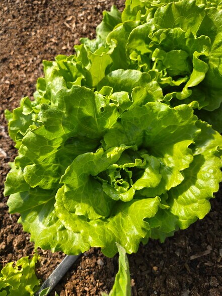 3526 Front St, Palisade, CO à vendre - Photo du bâtiment - Image 3 de 11