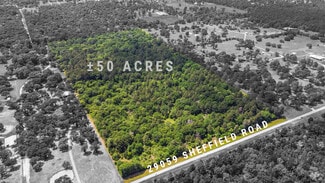 More details for 29059 Sheffield Rd, Hockley, TX - Land for Sale
