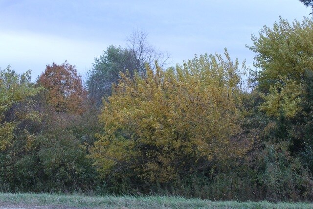 Lot 1 Fabyan, Elburn, IL à vendre - Photo du bâtiment - Image 2 de 7