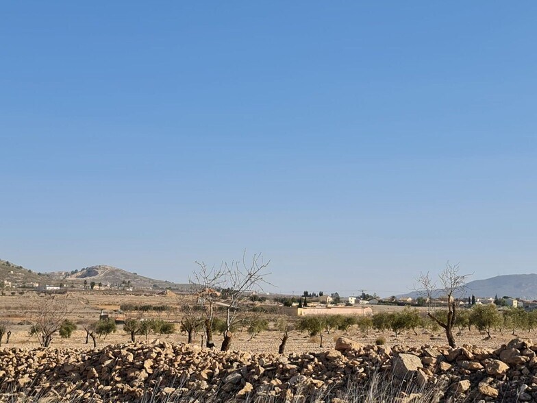 Terrain dans Jumilla, Murcia à vendre - Photo principale - Image 3 de 9