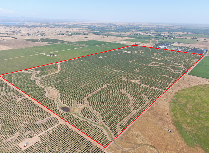 17105 E Liberty Rd, Clements, CA for sale Primary Photo- Image 1 of 13