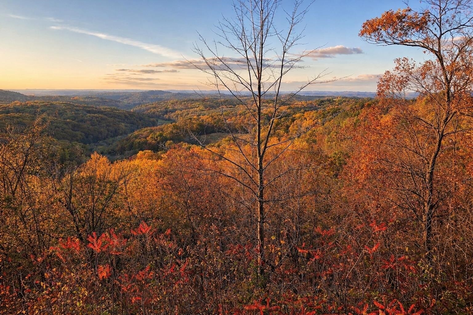 N7703 Wanlass Rd, Mindoro, WI à vendre Photo du bâtiment- Image 1 de 6