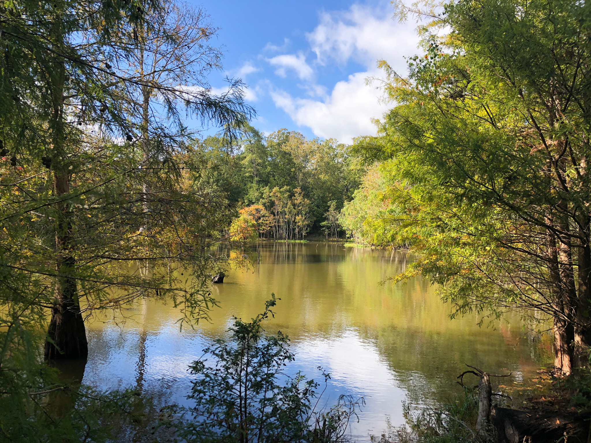 Prairie 8090, Deweyville, TX for sale Other- Image 1 of 1