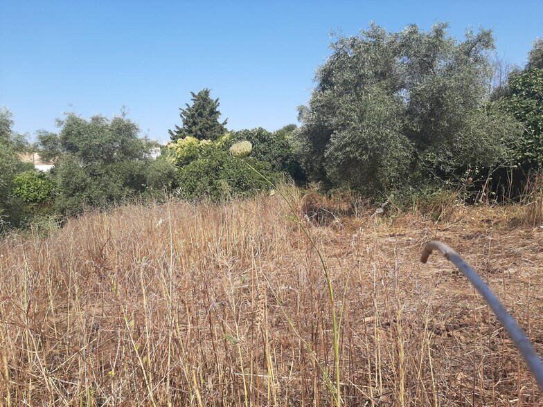 Land in Casas de Don Antonio, Cáceres for sale - Primary Photo - Image 3 of 12