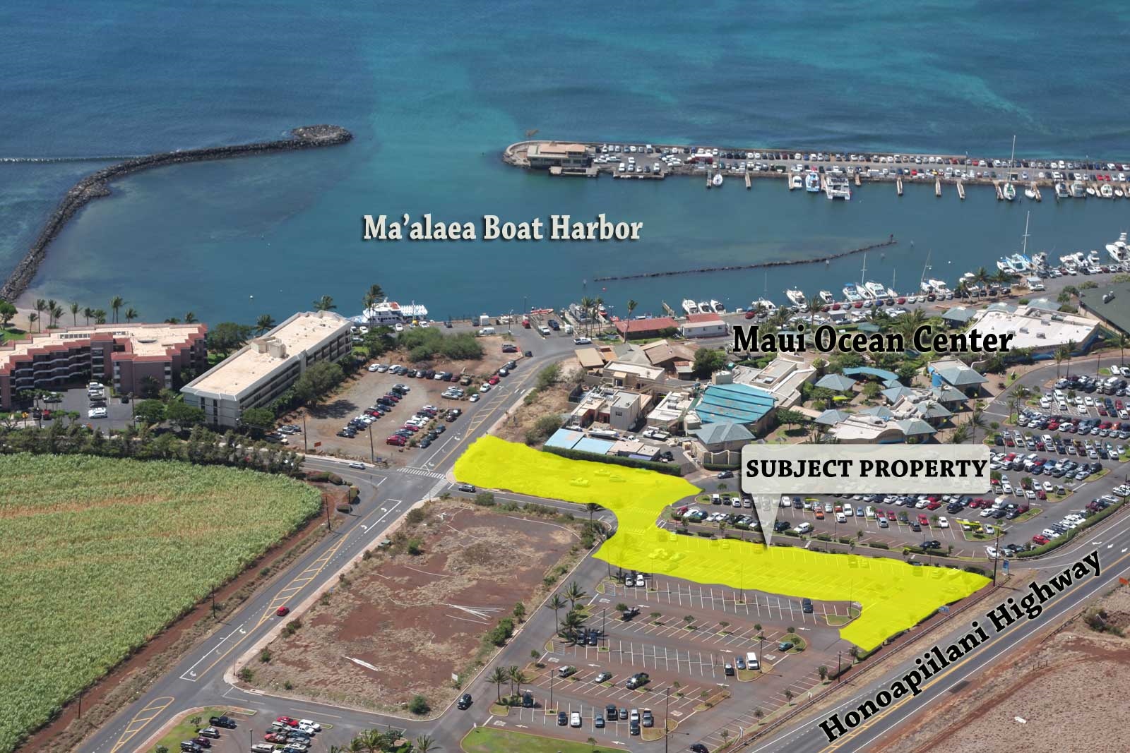 Maalaea Rd & Hauoli St, Wailuku, HI for sale Primary Photo- Image 1 of 1