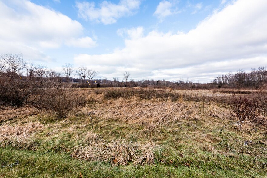 Parcel B Rambo Road, Bridgman, MI for sale - Primary Photo - Image 1 of 10