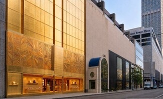 Plus de détails pour 110 E Pearson St, Chicago, IL - Commerce de détail à vendre