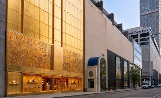 Plus de détails pour 110 E Pearson St, Chicago, IL - Commerce de détail à vendre