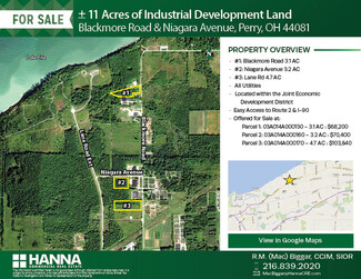 Plus de détails pour Blackmore Rd, Perry, OH - Terrain à vendre