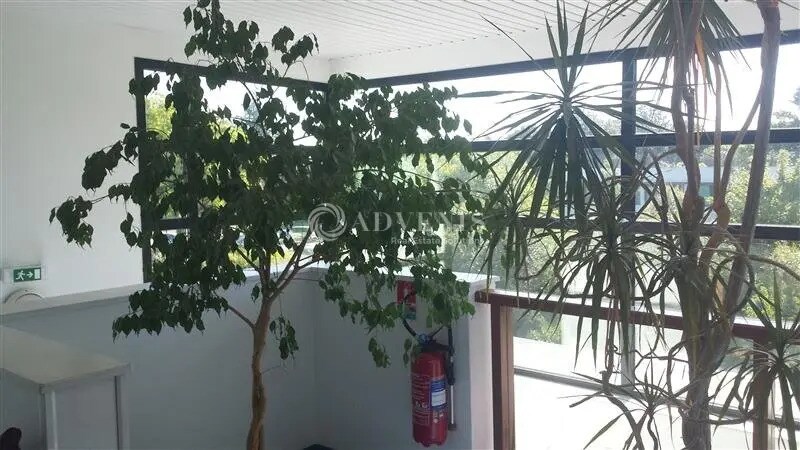 Bureau dans Nantes à louer - Photo intérieure - Image 2 de 3