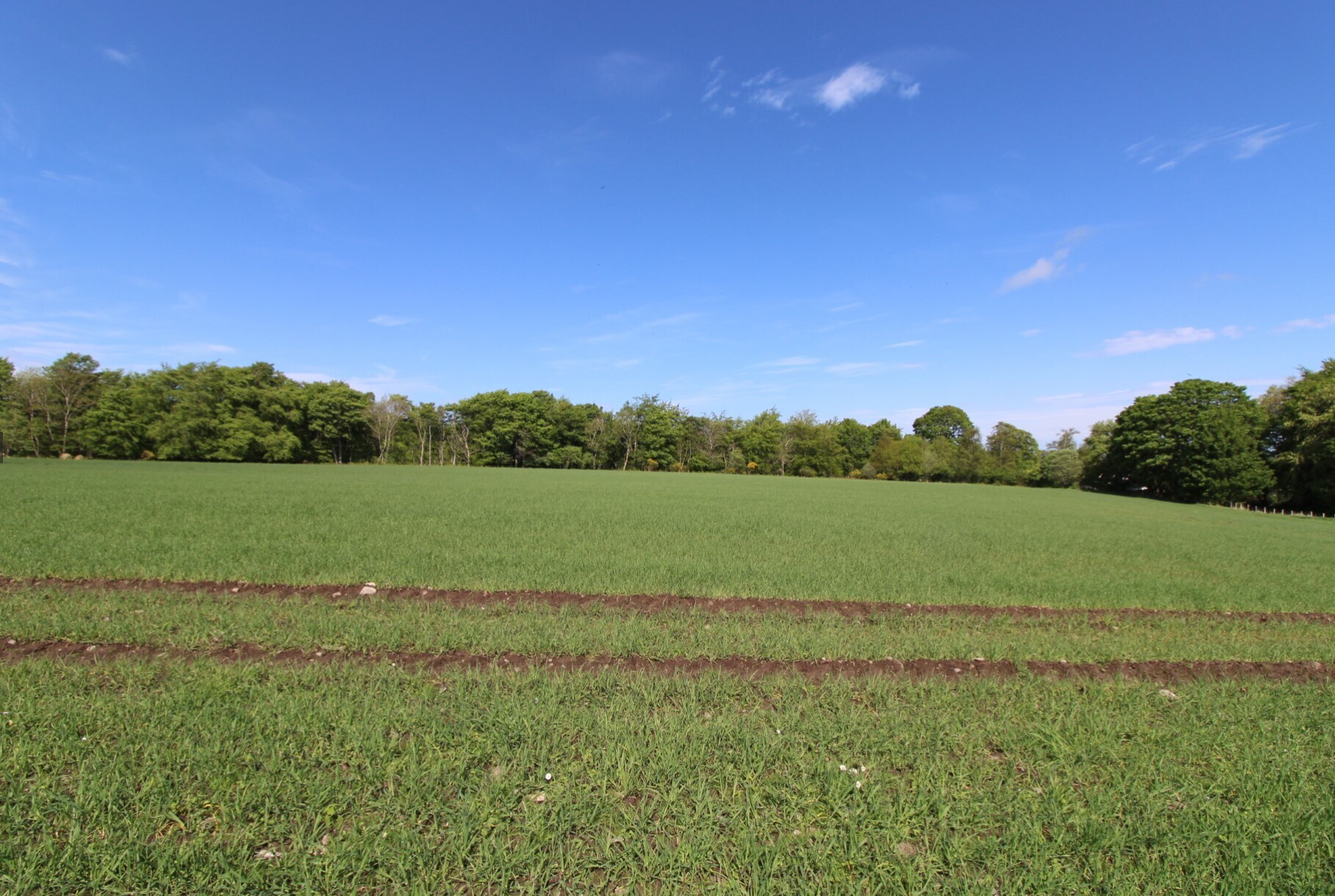 Drybridge, Drybridge à vendre Photo du bâtiment- Image 1 de 3