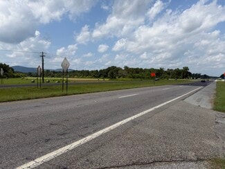 More details for 48079 Alabama 21 Hwy, Munford, AL - Land for Sale