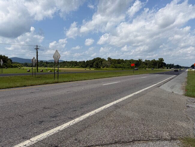 Plus de détails pour 48079 Alabama 21 Hwy, Munford, AL - Terrain à vendre
