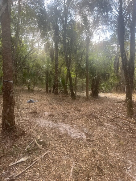 0 Camellia, Crystal River, FL for sale - Other - Image 3 of 12