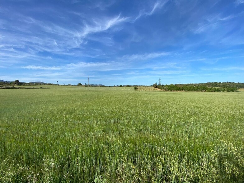 Land in Manacor, Islas Baleares for sale - Building Photo - Image 3 of 4