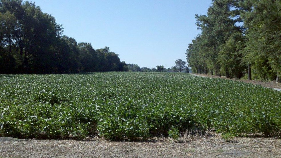 1239-1241 Sunset Ave, Clinton, NC à vendre - Photo du bâtiment - Image 3 de 5