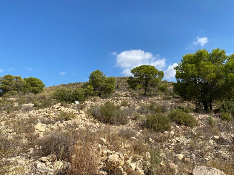 Land in Monforte del Cid, Alicante for sale - Site Plan - Image 3 of 7