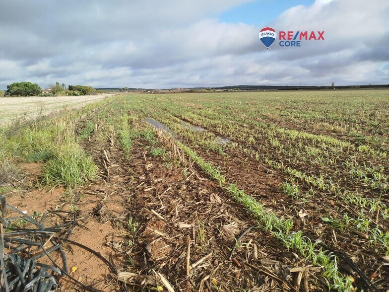 Land in Mérida, Badajoz for sale - Aerial - Image 3 of 5
