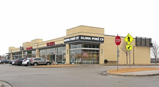 Plus de détails pour 245 Radio Dr, Woodbury, MN - Commerce de détail à louer