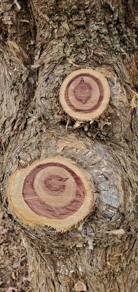 4775 S 50th St, Aldrich, MO à vendre - Photo du bâtiment - Image 3 de 29