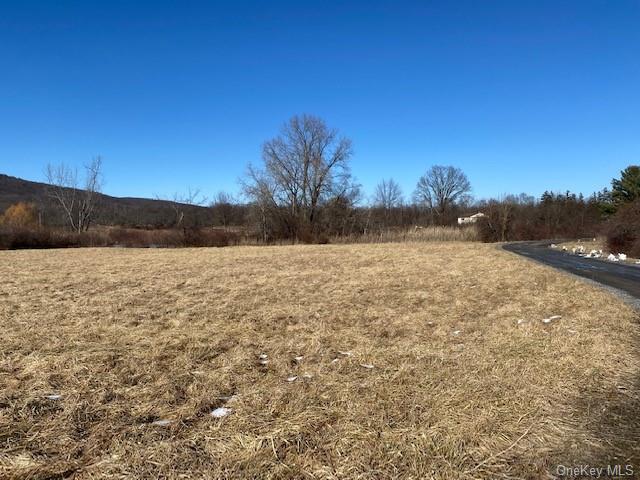 247 Vineyard Ave, Highland, NY for sale Primary Photo- Image 1 of 23