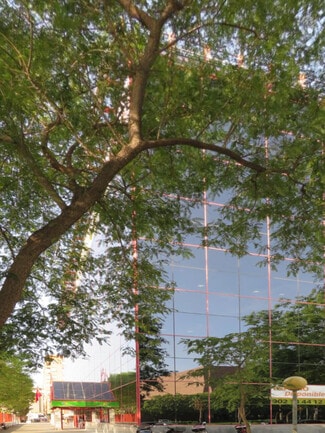 More details for Calle de Ortega y Gasset, 9, Murcia - Coworking for Lease