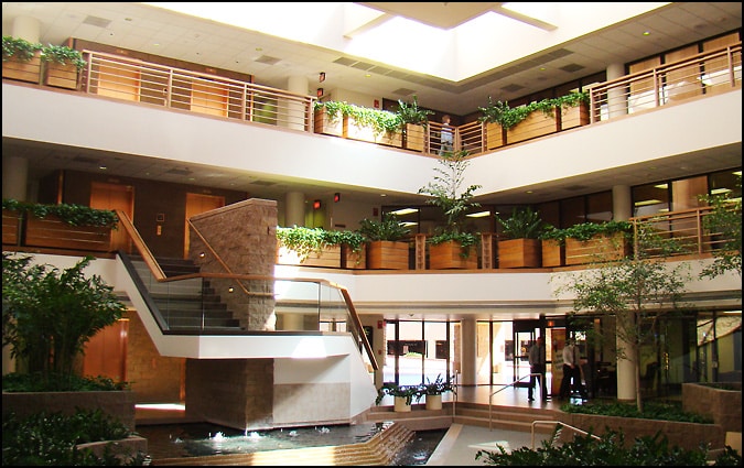 1839 S Alma School Rd, Mesa, AZ à louer - Photo intérieure - Image 2 de 7