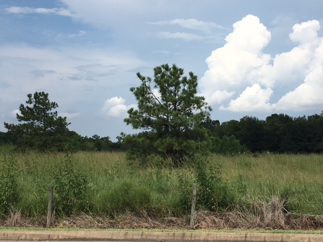 00 Pearland Parkway at Stable Stone Ln, Pearland, TX à vendre - Photo principale - Image 1 de 1