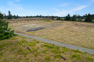 Plus de détails pour 5545 183rd SW ave, Rochester, WA - Terrain à vendre