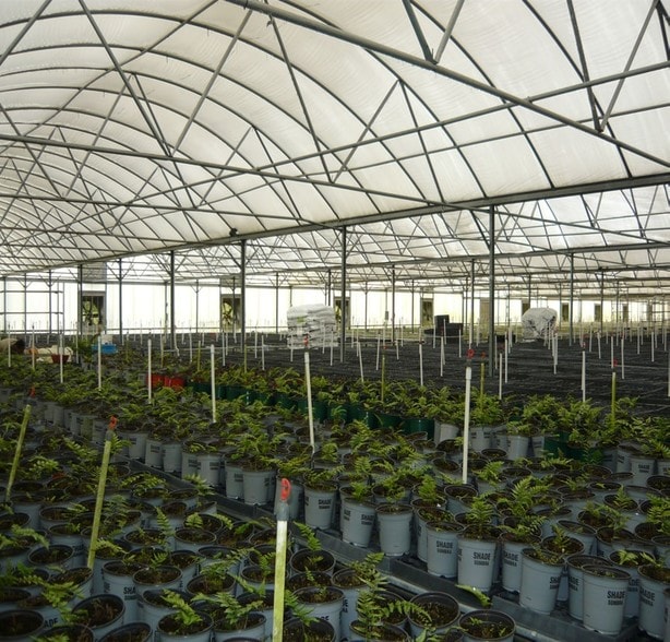 4103 Ondich Rd, Apopka, FL for lease - Building Photo - Image 2 of 11