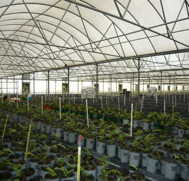 4103 Ondich Rd, Apopka, FL à louer - Photo du bâtiment - Image 2 de 11