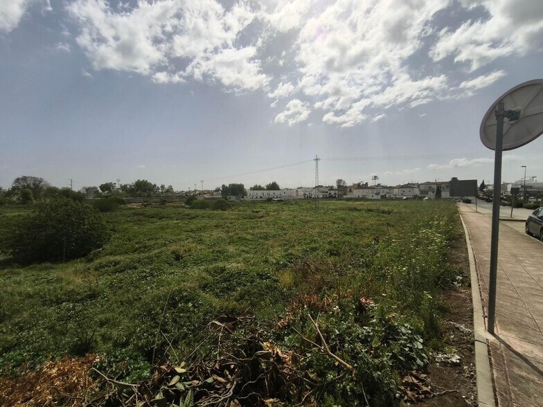 Land in Arcos de la Frontera, Cádiz for sale - Building Photo - Image 3 of 10