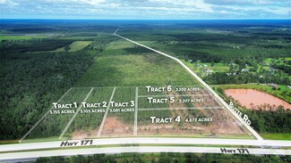 Plus de détails pour Highway 171 & Butte Rd, Longville, LA - Terrain à vendre