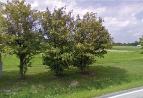 8066 W Britannia Rd, Milton, ON for sale Primary Photo- Image 1 of 1