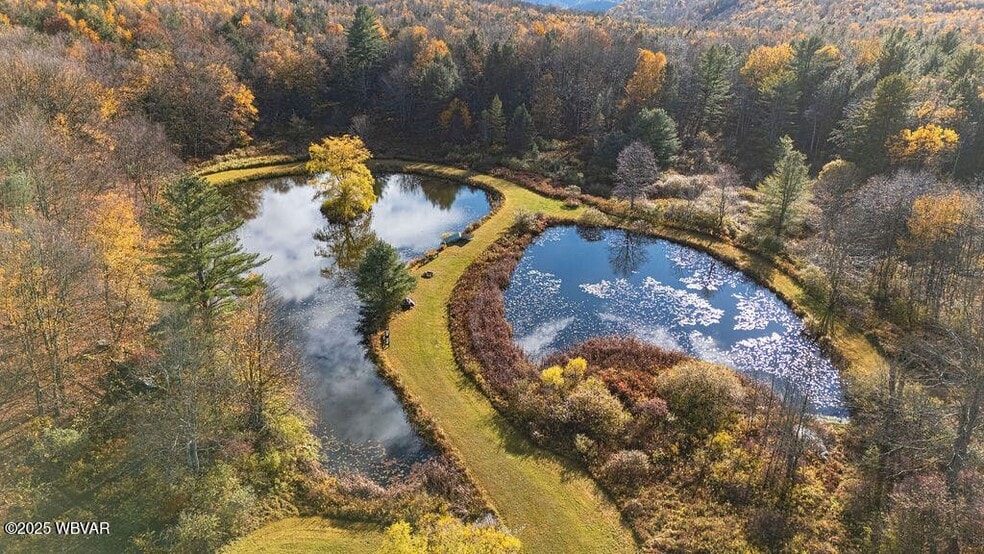 1382 Bear Mountain Road, Forksville, PA for sale - Building Photo - Image 3 of 51