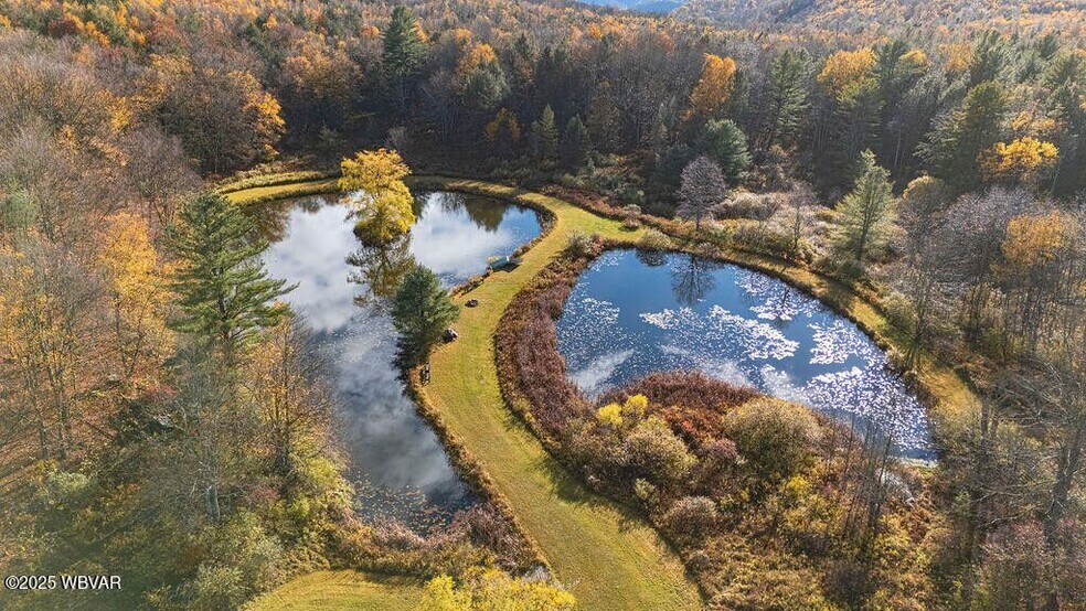 1382 Bear Mountain Road, Forksville, PA à vendre - Photo du bâtiment - Image 3 de 51