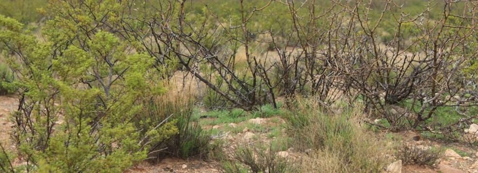 0000 Other, Barstow, TX for sale - Building Photo - Image 3 of 5