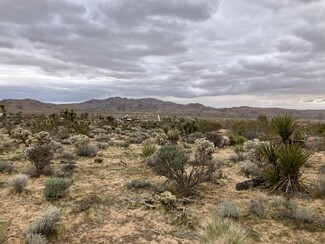 Plus de détails pour 60926 Alta Vista Dr, Joshua Tree, CA - Terrain à vendre