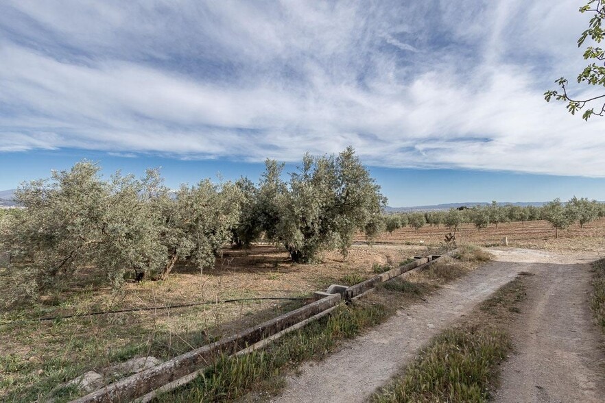 Pago de, Albolote, Granada for sale - Building Photo - Image 3 of 14
