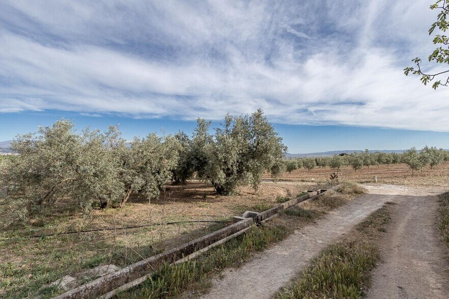 Pago de, Albolote, Granada à vendre - Photo du bâtiment - Image 3 de 14