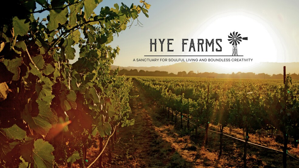 9695 US-290 Hwy, Hye, TX à vendre - Autre - Image 2 de 44