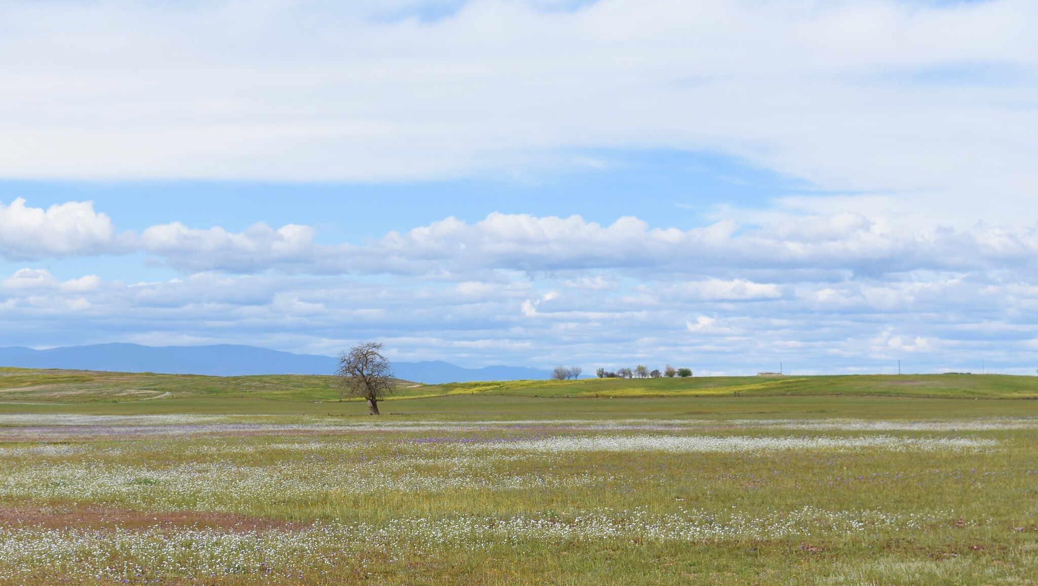 Road 33, Artois, CA for sale Building Photo- Image 1 of 23