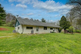 Plus de détails pour 242 Snyder Ln, Millmont, PA - Terrain à vendre