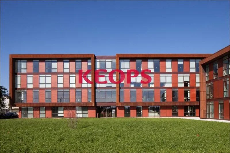 8 Rue De Vidailhan, Balma à louer - Photo du bâtiment - Image 3 de 14