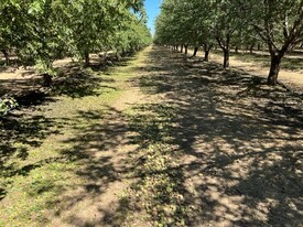 Jacobs Corner Almonds - Services immobiliers commerciaux