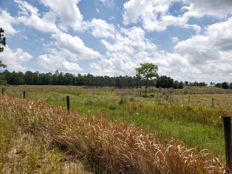 31300 Blanton Rd, Dade City, FL for sale - Building Photo - Image 1 of 6